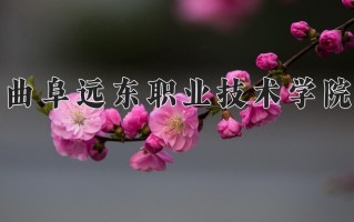 曲阜远东职业技术学院学费多少钱一年：9180-11380元/年（2025填报参考）