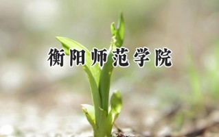 2024衡阳师范学院录取分数线：河南最低401分