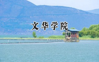 文华学院2024在内蒙古录取分数线是多少？最低371分/最高412分