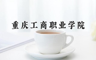 2024重庆工商职业学院录取分数线：山西最低356分