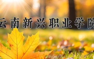 2024年云南新兴职业学院录取分数线，宁夏最低208分