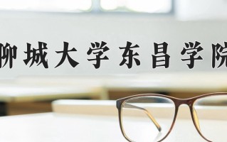 2024年聊城大学东昌学院录取分数线，宁夏最低405分