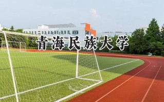 青海民族大学2024在福建录取分数线是多少？最低467分/最高504分