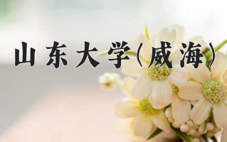 国际政治专业学费多少？附江苏2024年招收的大学