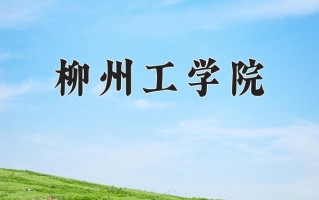 2024年柳州工学院录取分数线，青海最低326分