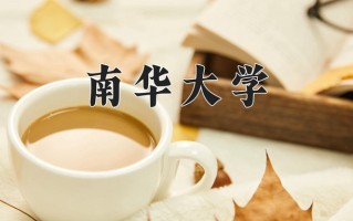 2024南华大学录取分数线，重庆录取最低分515