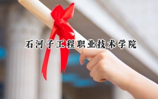 2024石河子工程职业技术学院录取分数线：河南最低268分