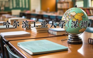 2024年哈尔滨工业大学(深圳)录取分数线，宁夏最低606分