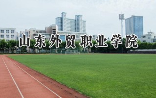 山东外贸职业学院2024在山东录取分数线是多少？最低339分/最高496分
