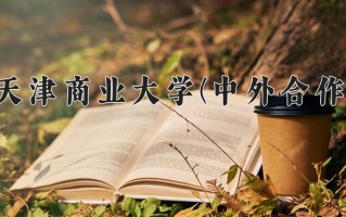 2024天津商业大学(中外合作)录取分数线，重庆录取最低分511