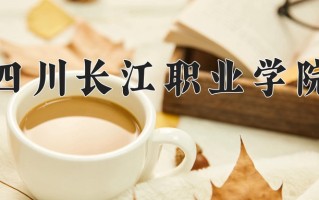 2024四川长江职业学院录取分数线，重庆录取最低分180