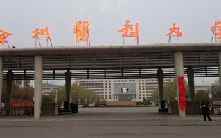 2024年徐州医科大学录取分数线，新疆最低388分