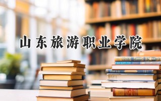 山东旅游职业学院2024在青海录取分数线是多少？最低244分/最高276分