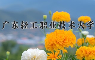 2024广东轻工职业技术大学录取分数线：浙江最低492分