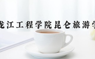 2024年黑龙江工程学院昆仑旅游学院录取分数线，宁夏最低378分