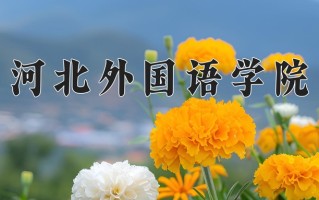 河北外国语学院王牌专业排名-含2025年全国各省录取最低分数线