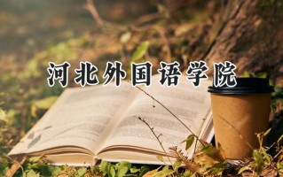 河北外国语学院2024在青海录取分数线是多少？最低330分/最高398分