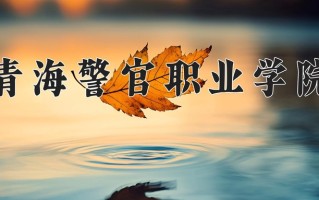 2024年青海警官职业学院录取分数线，青海最低320分