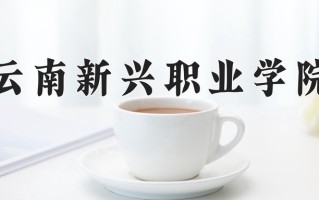 2025年黑龙江高考285分可以上什么大学？附可以上的院校名单