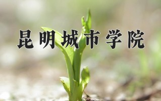 昆明城市学院学费多少钱一年：19800-29800元/年（2025填报参考）
