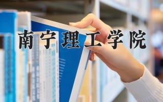 南宁理工学院学费多少钱一年：24800-29800元/年（2025填报参考）