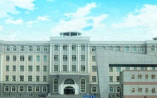 2024年新疆石河子职业技术学院录取分数线，河北最低310分