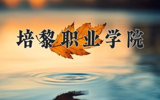 2025年培黎职业学院在新疆计划招生人数（附学费及专业录取分)
