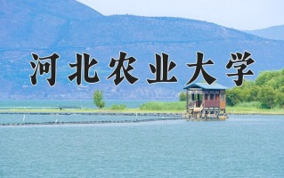 2024年河北农业大学录取分数线，河北最低504分