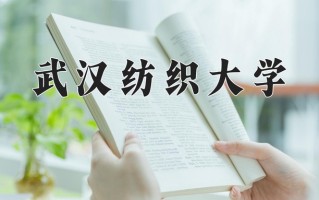2024武汉纺织大学录取分数线：浙江最低493分