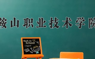 2024年鞍山职业技术学院录取分数线，河北最低363分