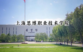 上海思博职业技术学院2024在山东录取分数线是多少？最低230分/最高322分