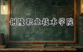 铜陵职业技术学院2024在浙江录取分数线是多少？最低445分/最高568分