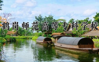 2024年鹤岗师范高等专科学校录取分数线，新疆最低192分