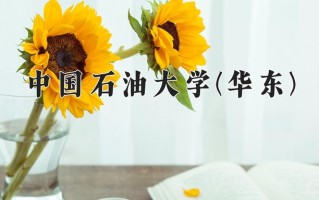 2024年中国石油大学(华东)录取分数线，宁夏最低514分