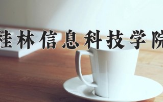 桂林信息科技学院王牌专业排名-含2025年全国各省录取最低分数线