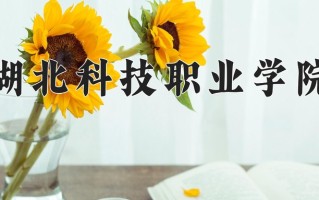 2025年湖北科技职业学院在新疆计划招生人数（附学费及专业录取分)