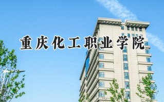 重庆化工职业学院2024在山东录取分数线是多少？最低403分/最高445分