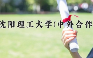 2024沈阳理工大学(中外合作)录取分数线，重庆录取最低分499
