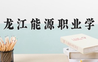2024年黑龙江能源职业学院录取分数线，河北最低329分