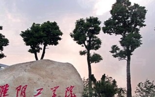 江苏491分能上什么好大学？附2025年可以报考的大学名单