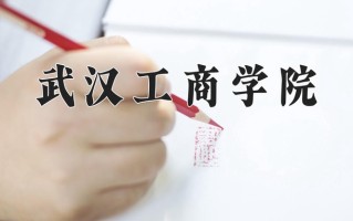 2024武汉工商学院录取分数线：浙江最低414分