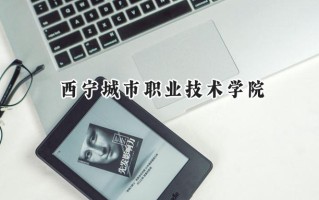 西宁城市职业技术学院2024在青海录取分数线是多少？最低273分/最高342分
