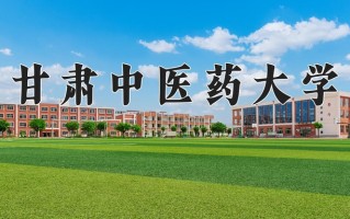2024年甘肃中医药大学录取分数线，青海最低380分