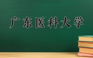 2024广东医科大学录取分数线，重庆录取最低分522