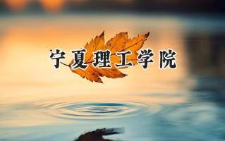 宁夏理工学院2024在福建录取分数线是多少？最低412分/最高479分