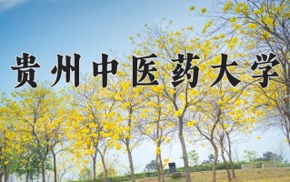 2024贵州中医药大学录取分数线：浙江最低484分