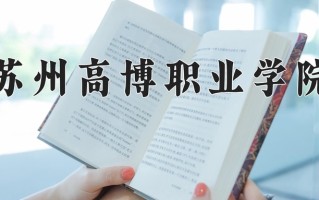 2024苏州高博职业学院录取分数线：浙江最低345分