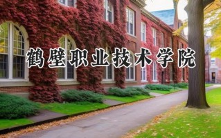 鹤壁职业技术学院2024在浙江录取分数线是多少？最低438分/最高461分