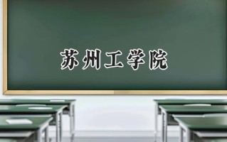 2024苏州工学院录取分数线：江苏最低462分