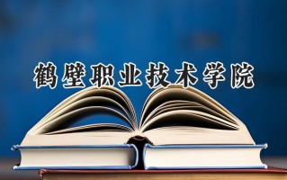 鹤壁职业技术学院2024在山东录取分数线是多少？最低236分/最高412分